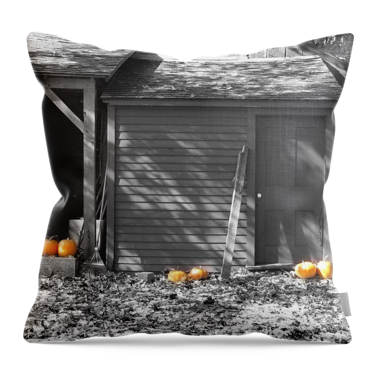 Autumn Throw Pillow featuring the photograph Autumn Rest by David Bader