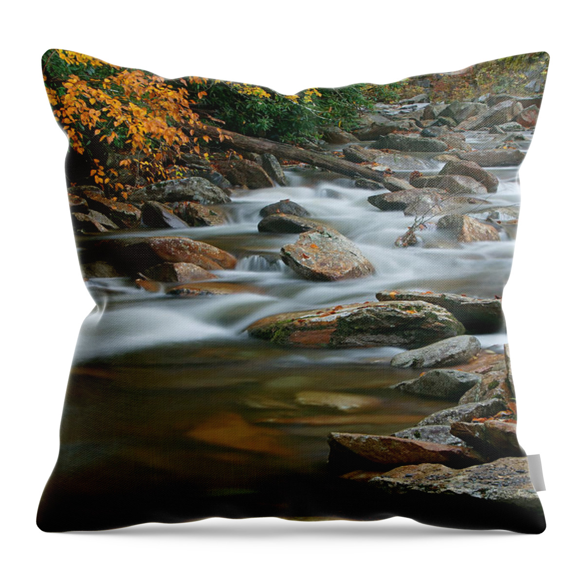 Clarence Holmes Throw Pillow featuring the photograph Autumn River Cascades III by Clarence Holmes