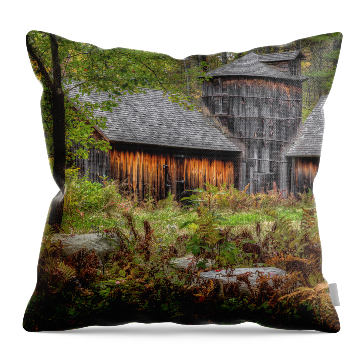 Silo Throw Pillow featuring the photograph Autumn Rustic 2016 by Bill Wakeley