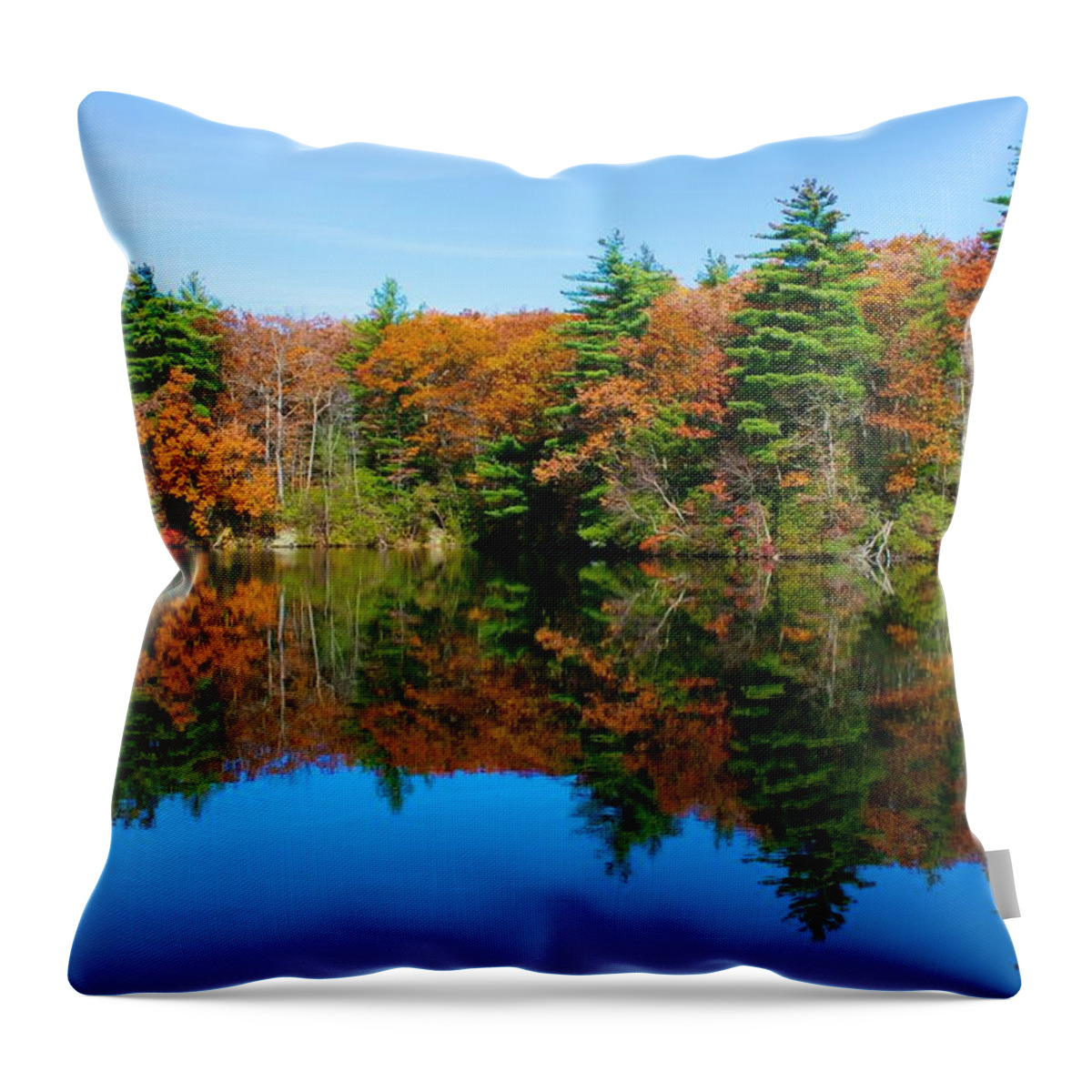  Throw Pillow featuring the photograph Autumn Silence at Huntington by Polly Castor