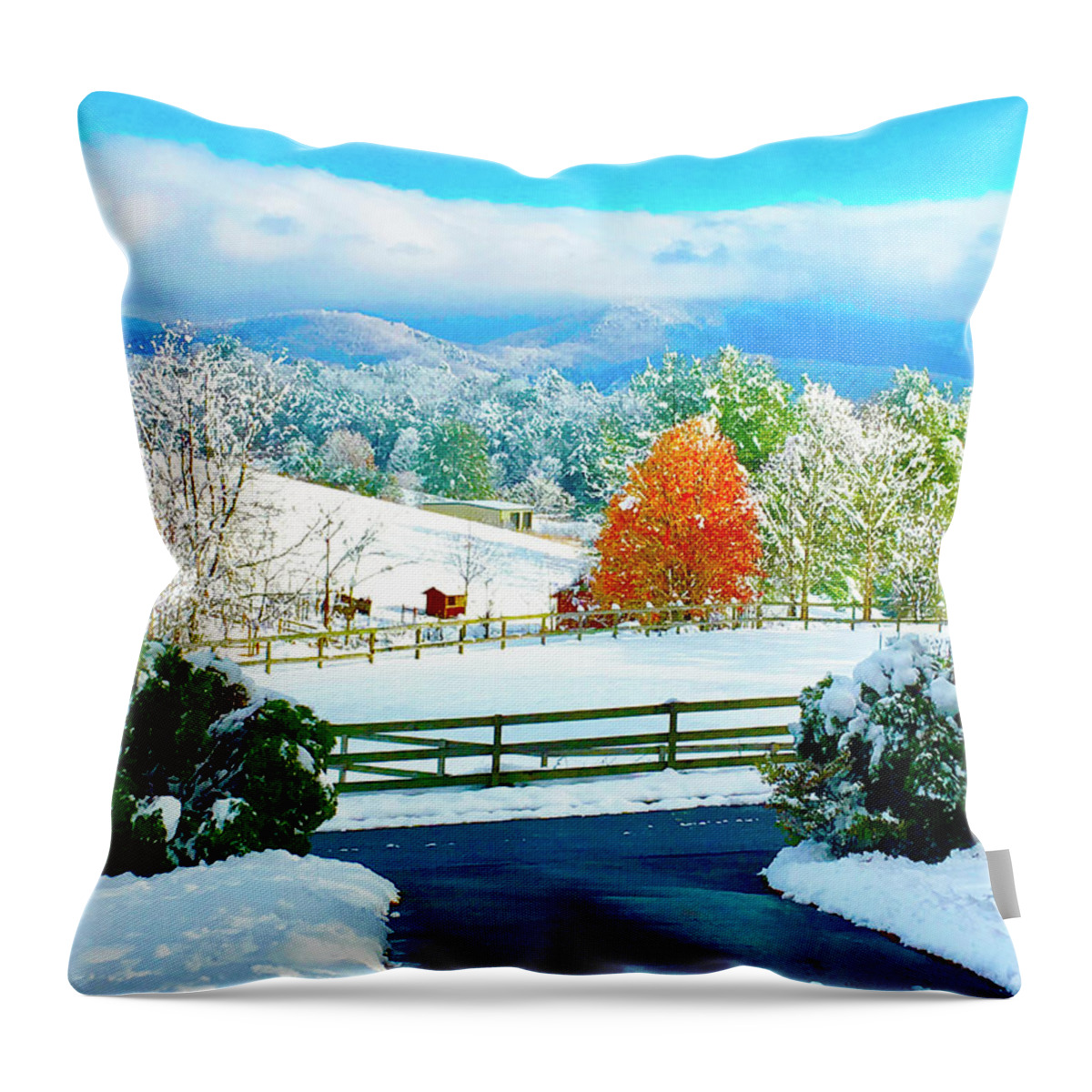 Winter Throw Pillow featuring the photograph Autumn Snow by Rod Whyte