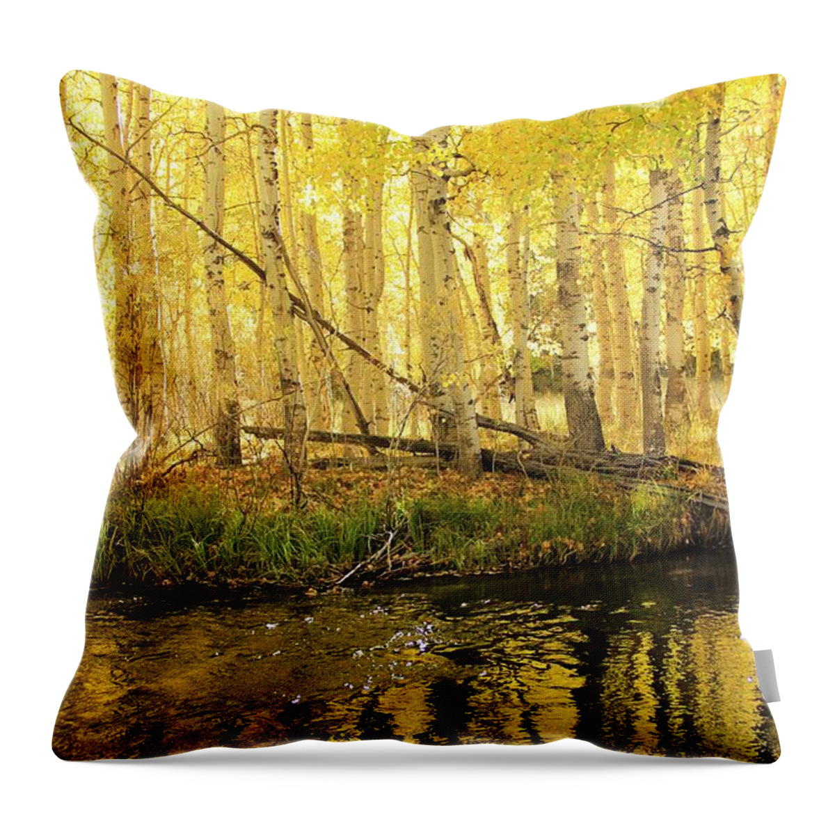 Rush Creek Throw Pillow featuring the photograph Autumn Liquid Gold by Sean Sarsfield