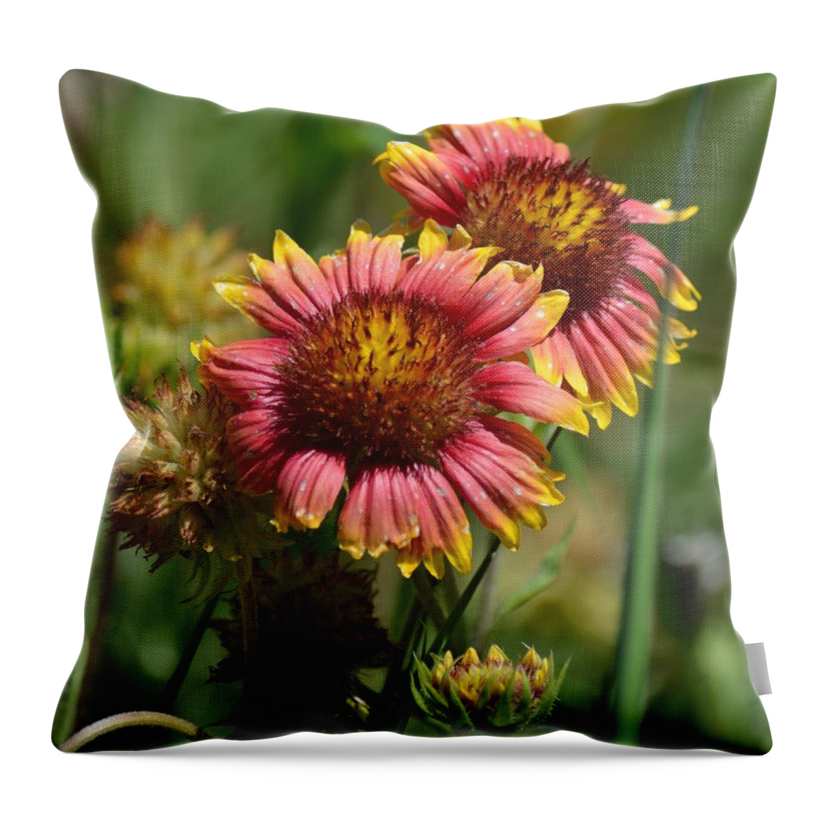 Autumn Spice 15-01 Throw Pillow featuring the photograph Autumn Spice 15-01 by Maria Urso