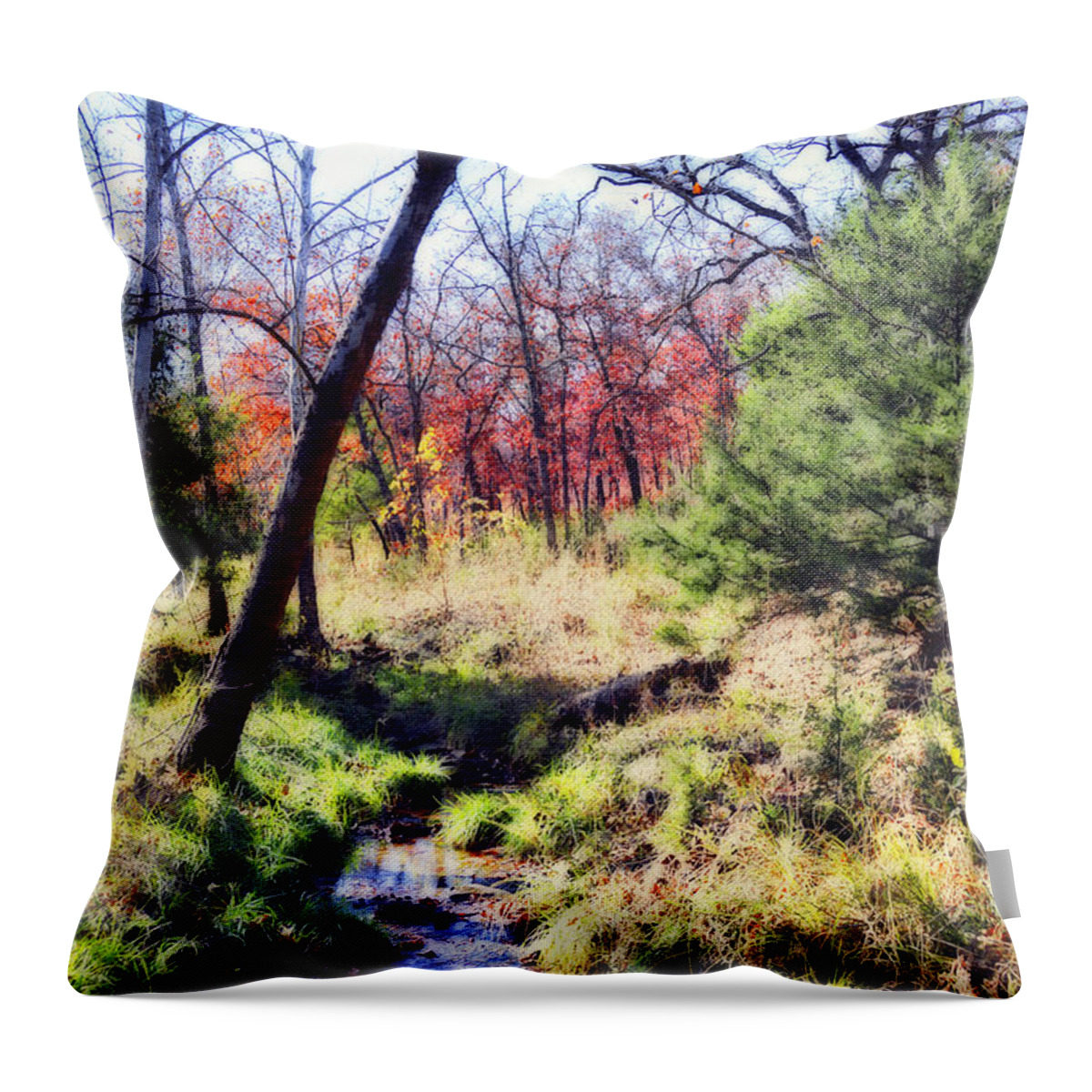 Nature Throw Pillow featuring the photograph Autumn Stream by Ann Powell
