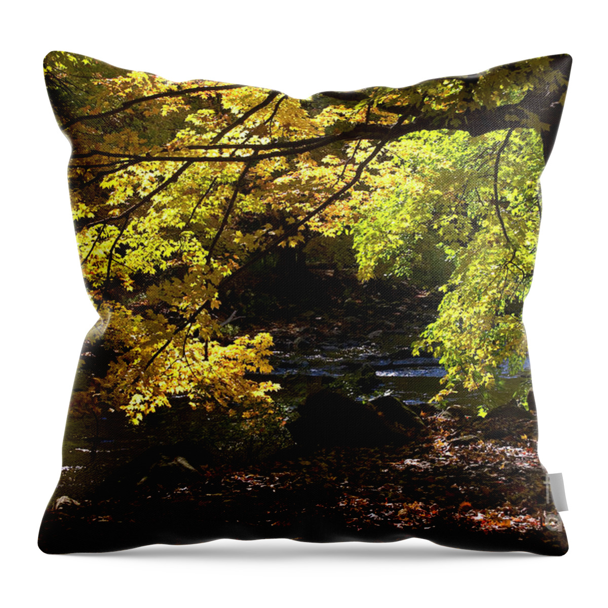 Autumn Throw Pillow featuring the pyrography Autumn Stream by Tom Brickhouse