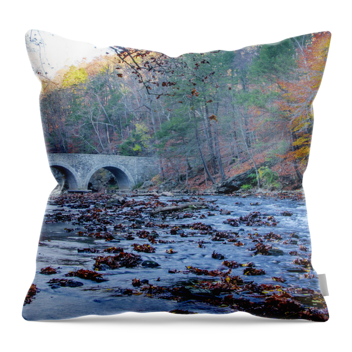 Autumn Throw Pillow featuring the photograph Autumn - The Rex Avenue Bridge - Philadephia by Bill Cannon