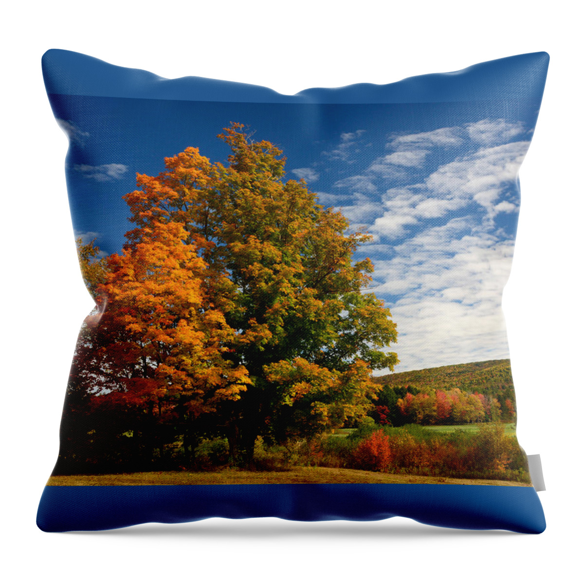 Autumn Throw Pillow featuring the photograph Autumn Tree on the Windham Path by Nancy De Flon