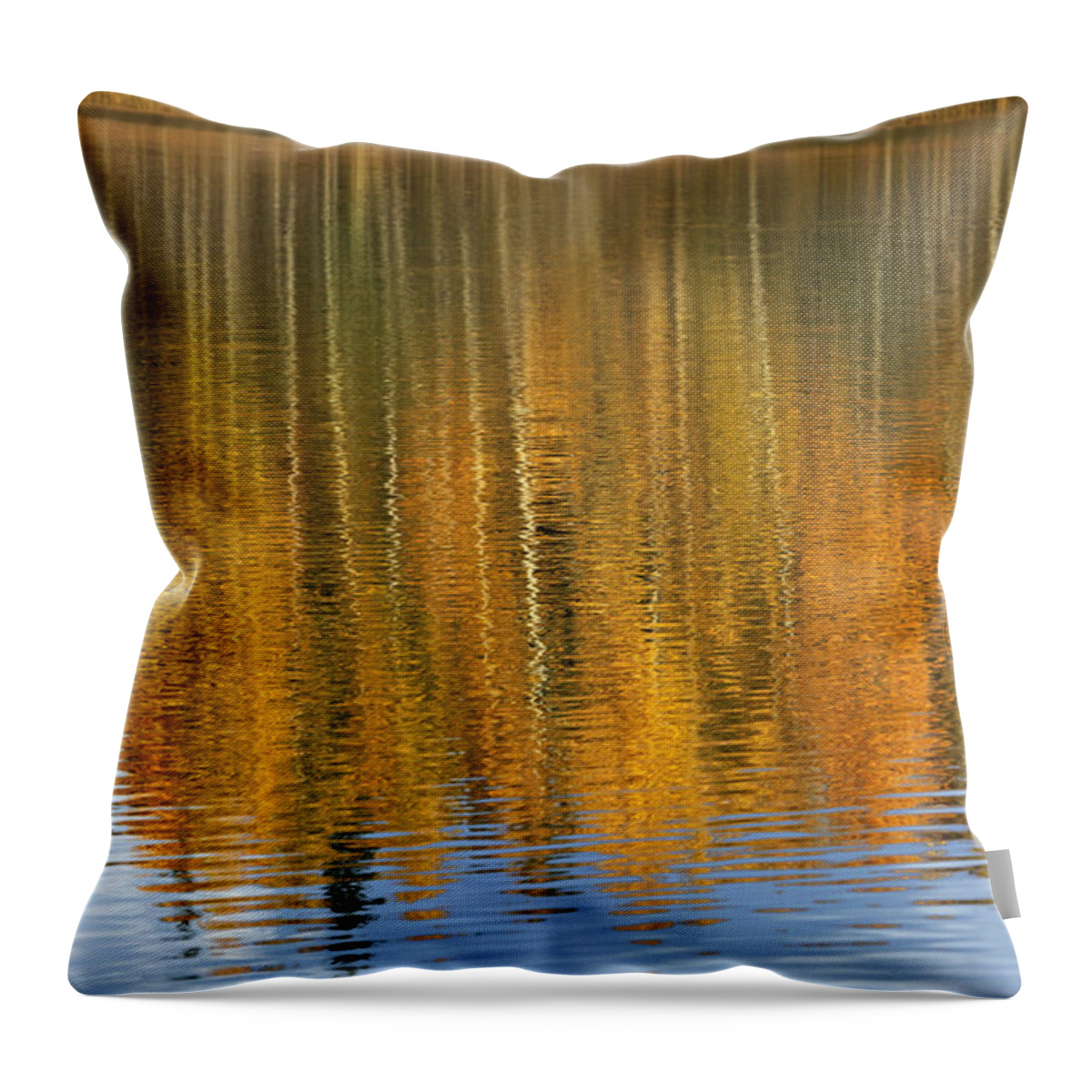 Autumn Throw Pillow featuring the photograph Autumn tree reflections by Elvira Butler