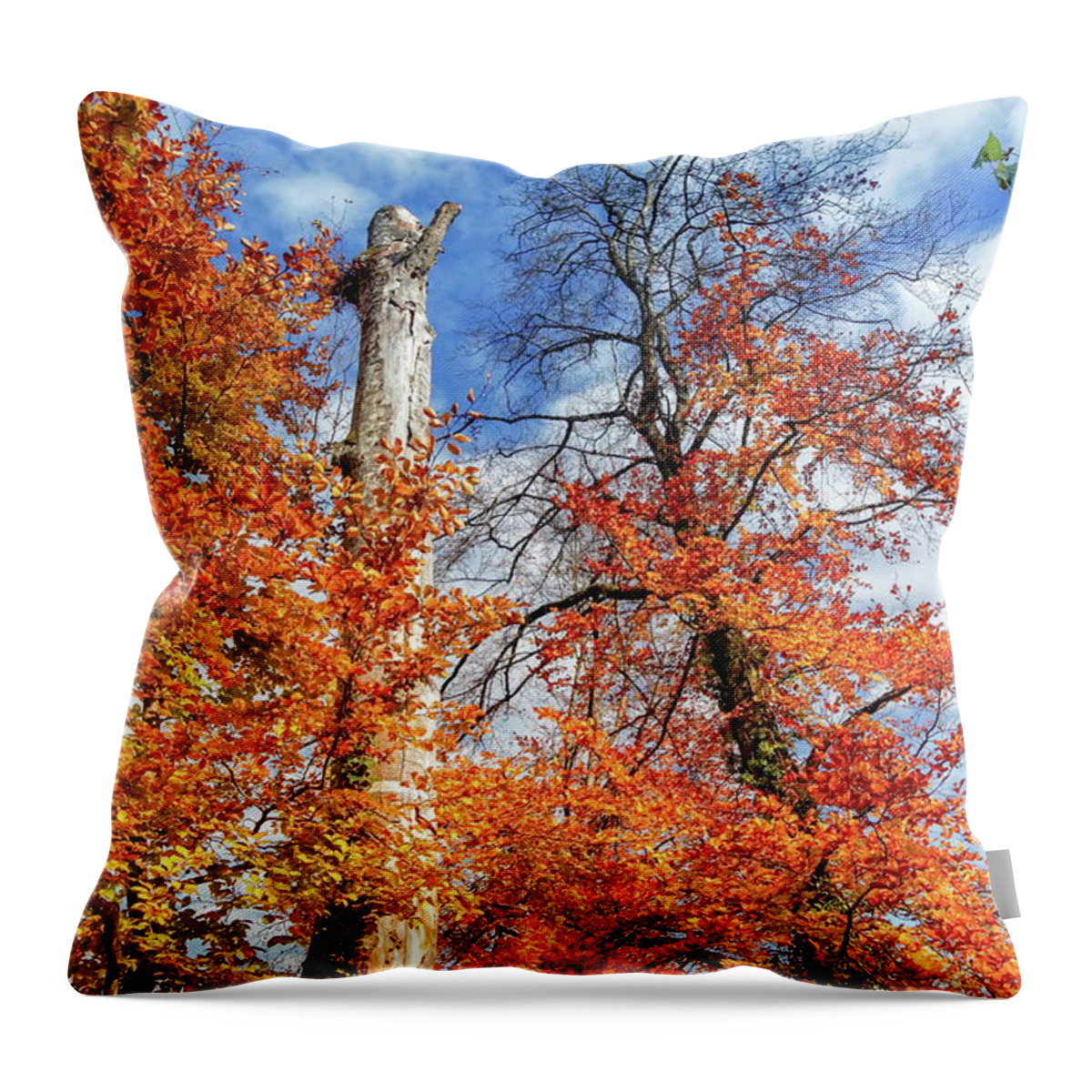 Park Throw Pillow featuring the photograph Autumn trees by day by Elenarts - Elena Duvernay photo