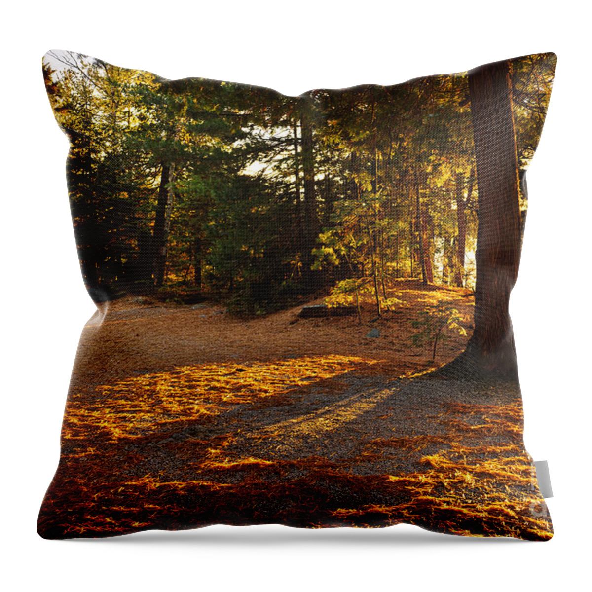 Trees Throw Pillow featuring the photograph Autumn trees near lake by Elena Elisseeva