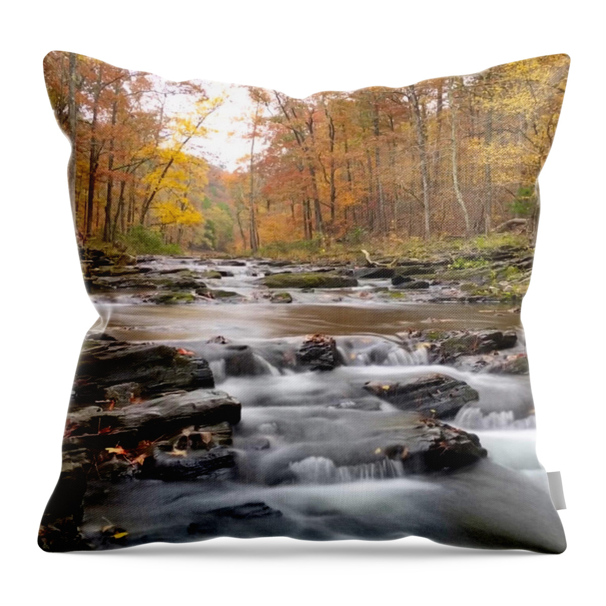 Autumn Throw Pillow featuring the photograph Autumn Wonder by Doris Aguirre
