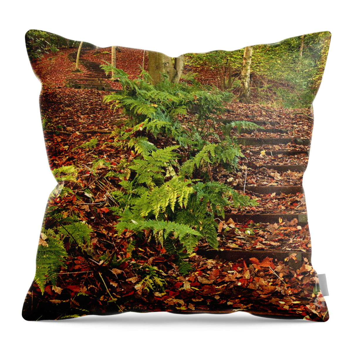 Fall Throw Pillow featuring the photograph Autumn Woodland Path by Martyn Arnold