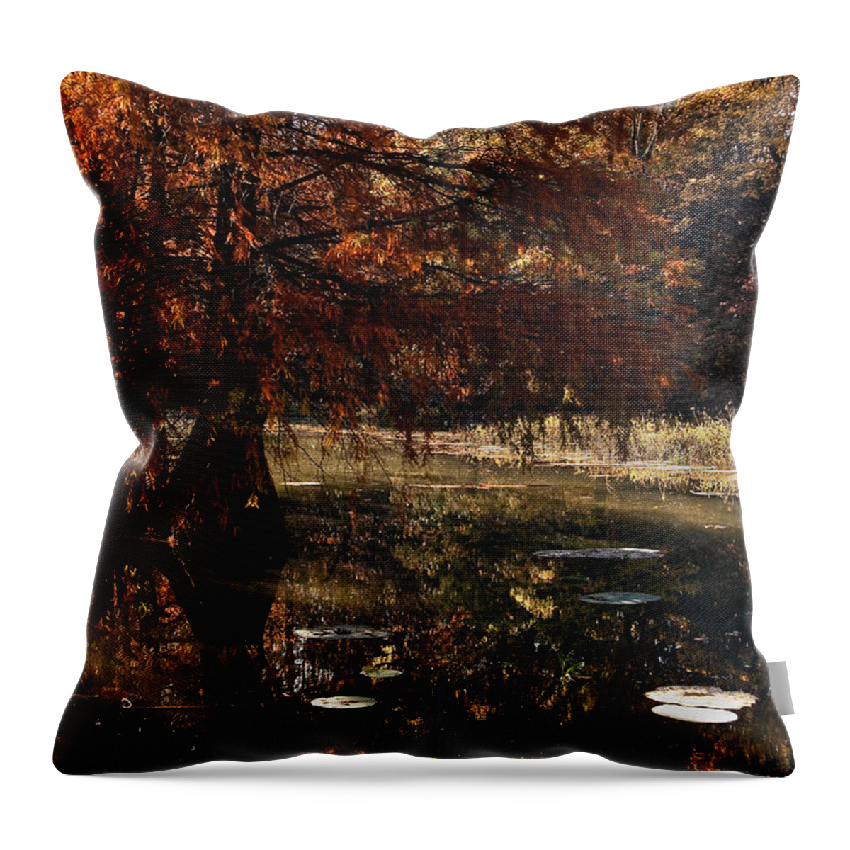 Rural Throw Pillow featuring the photograph Autumnal Solace at Lake Murray by Tamyra Ayles