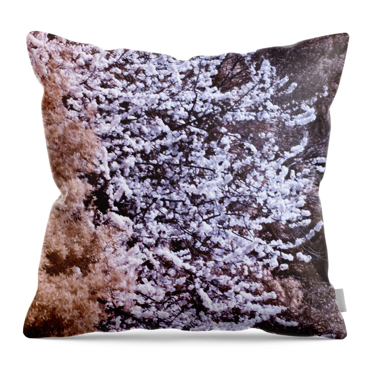 Nature Throw Pillow featuring the photograph Autumnal spring in London by Helga Novelli