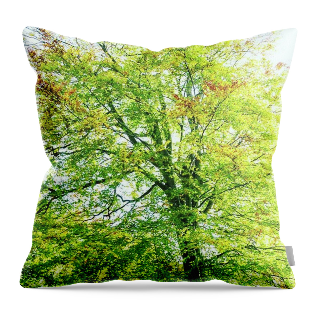  Throw Pillow featuring the photograph Autumns Arrival by Aleck Cartwright