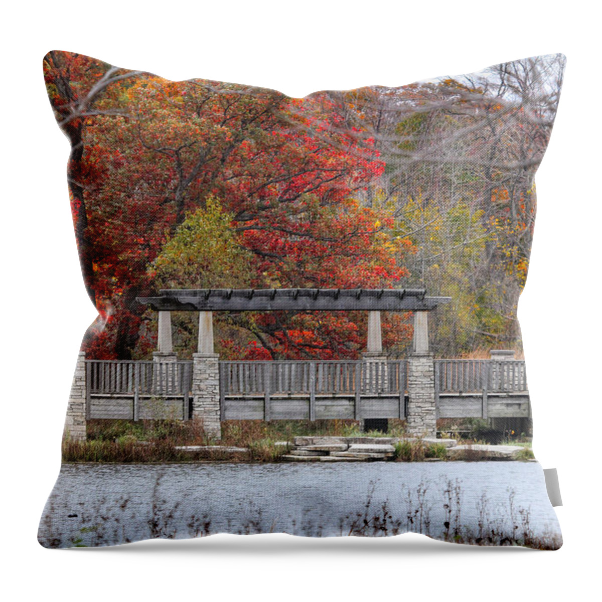Autumn Throw Pillow featuring the photograph Autumn's Beauty by Jackson Pearson