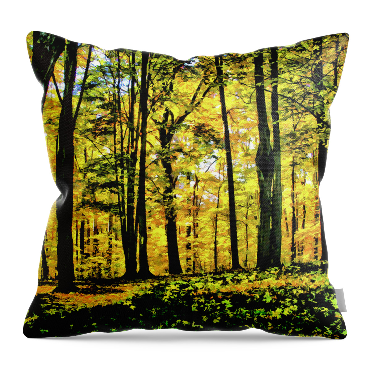Autumn Throw Pillow featuring the photograph Autumn's Glow by Monroe Payne