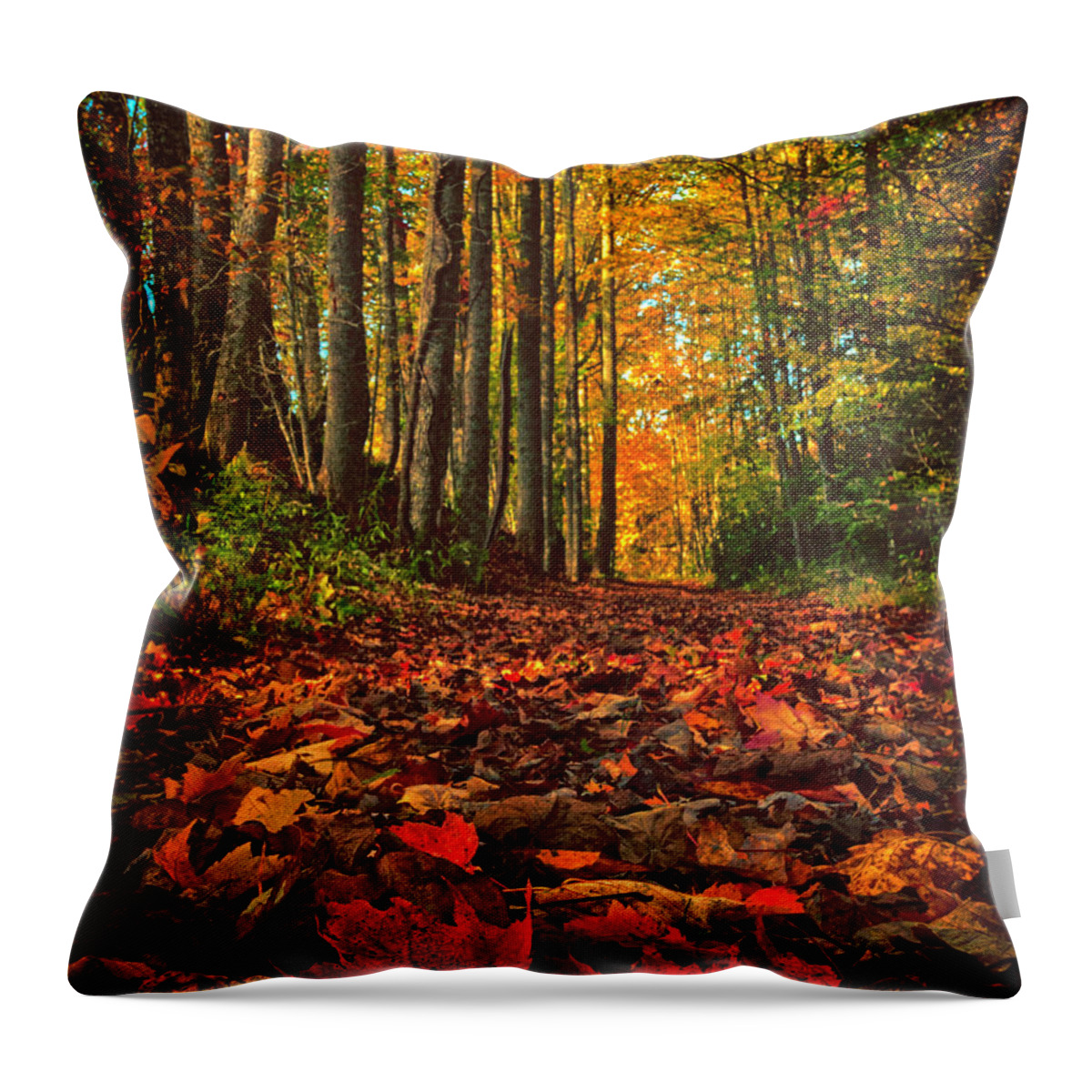 Autumn Throw Pillow featuring the photograph Autumn's Walkway by Kevin Senter