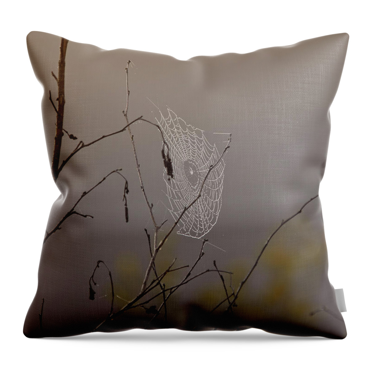Spider Web Throw Pillow featuring the photograph Autumns Web by Sue Capuano