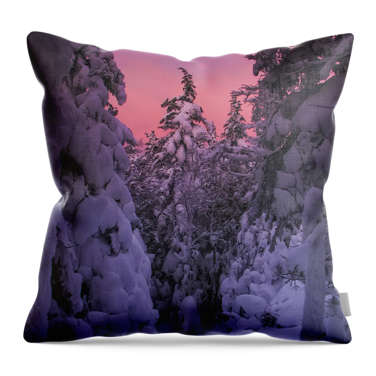Avalon Throw Pillow featuring the photograph Avalon Sunset by White Mountain Images