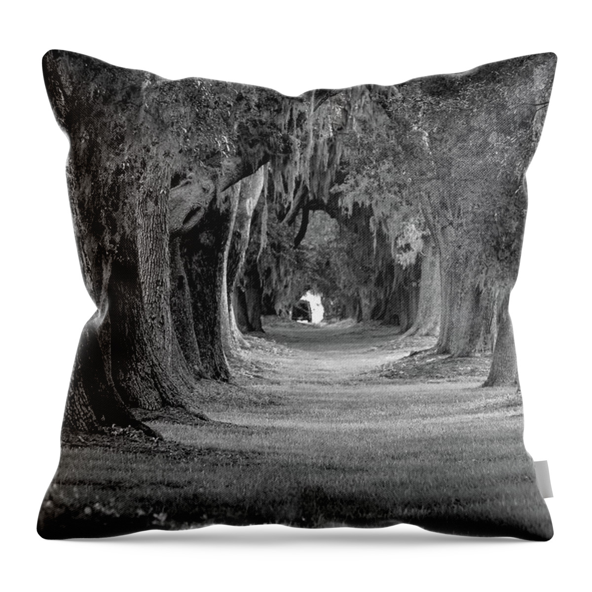 Reid Callaway Avenue Of Oaks Revisited Throw Pillow featuring the photograph Avenue of Oaks Revisited Sea Island Golf Club St Simons Island, GA by Reid Callaway