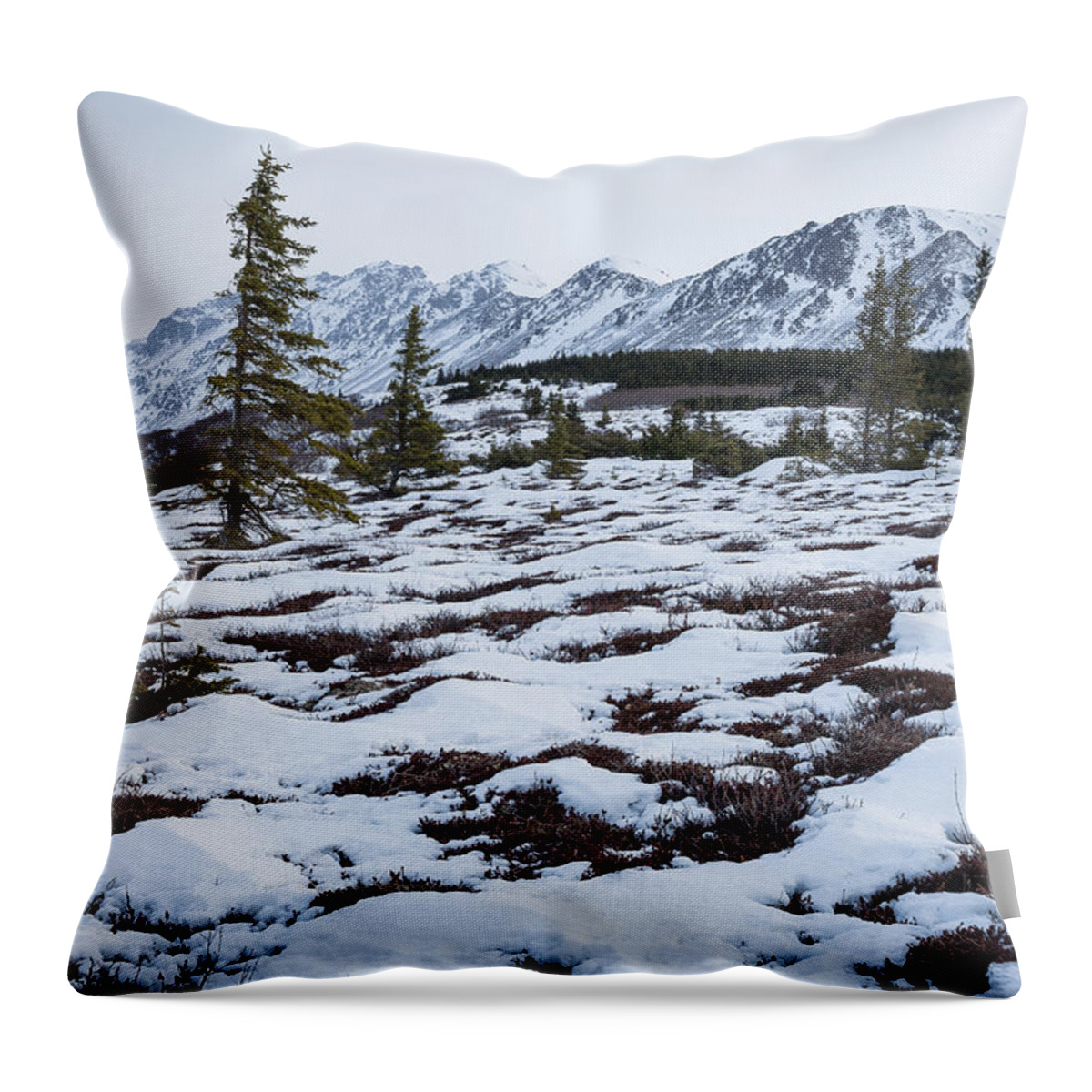 Alaska Throw Pillow featuring the photograph Awaiting Spring by Tim Newton