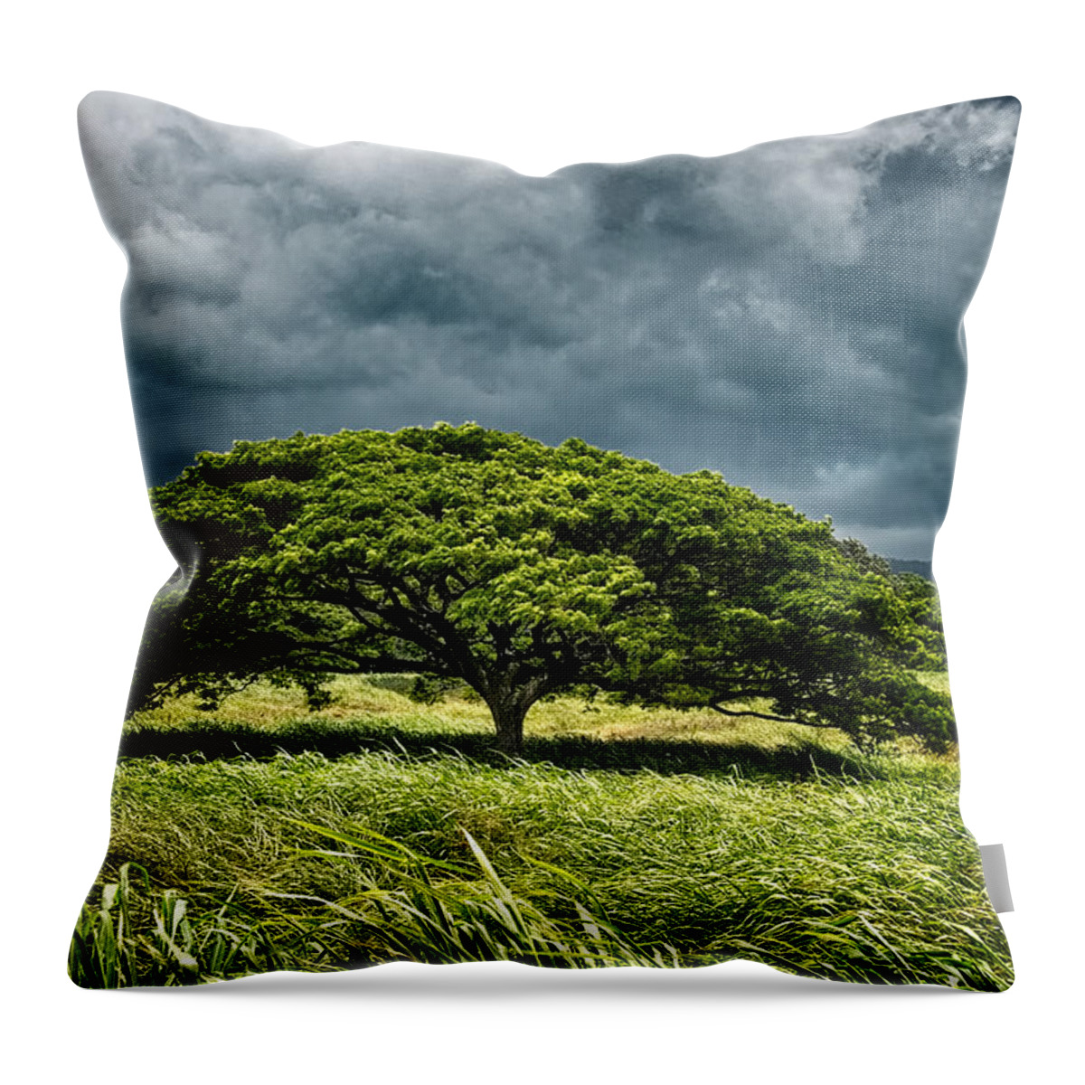 Hawaii Throw Pillow featuring the photograph Awaiting the Rain by Christopher Holmes