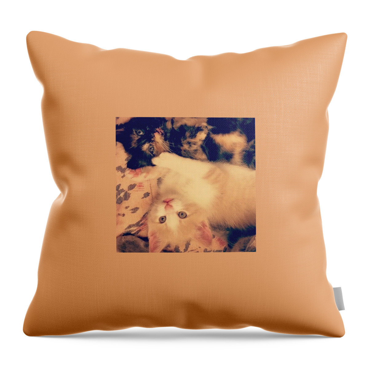 Cats Throw Pillow featuring the photograph Eye Spy by Charley Upton