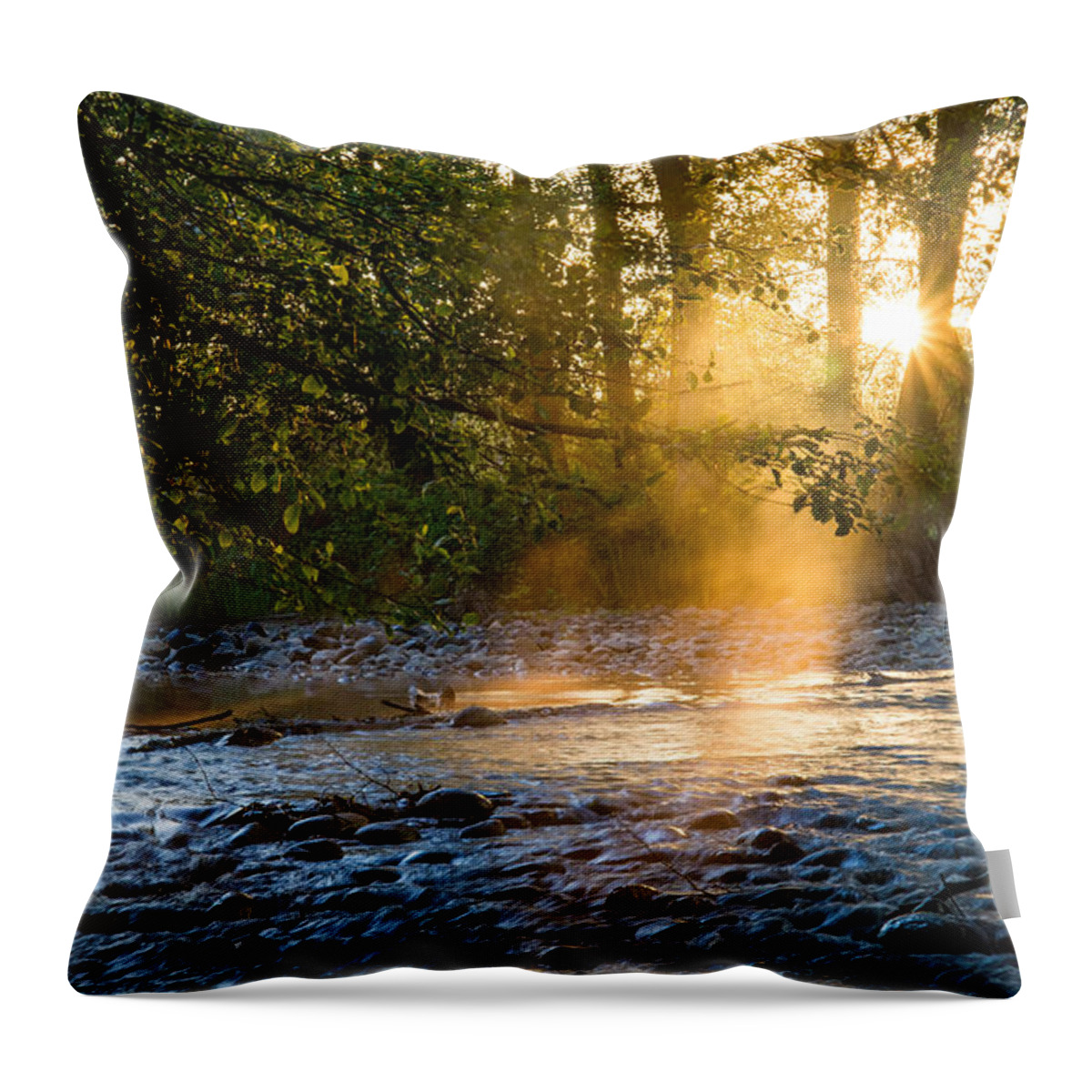 Sunrise Throw Pillow featuring the photograph Awakening by Janet Kopper