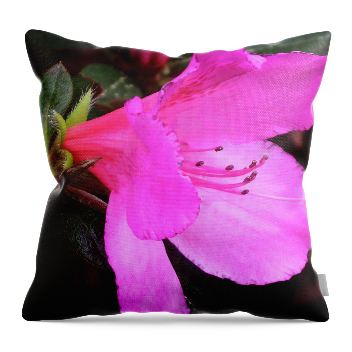 Beautiful Throw Pillow featuring the photograph Azalea 2018 by Cathy Harper