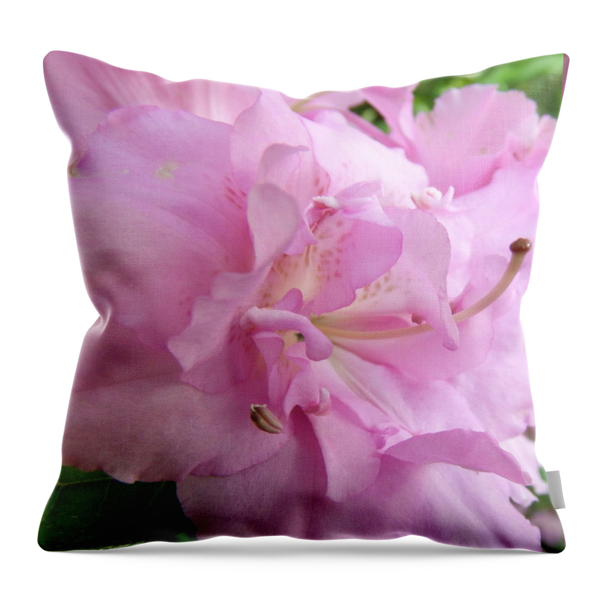 Flowers Throw Pillow featuring the photograph Azalea Close Up by Cathy Harper