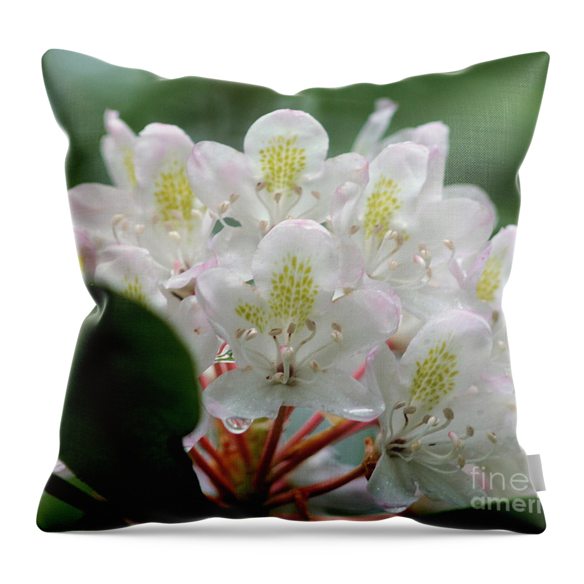 Flower Throw Pillow featuring the photograph Azalea Faces by Smilin Eyes Treasures