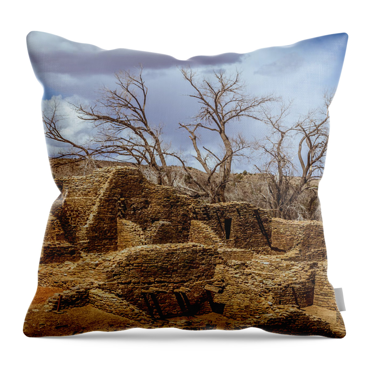 Aztec Throw Pillow featuring the photograph Aztec Ruins, New Mexico by Ron Pate