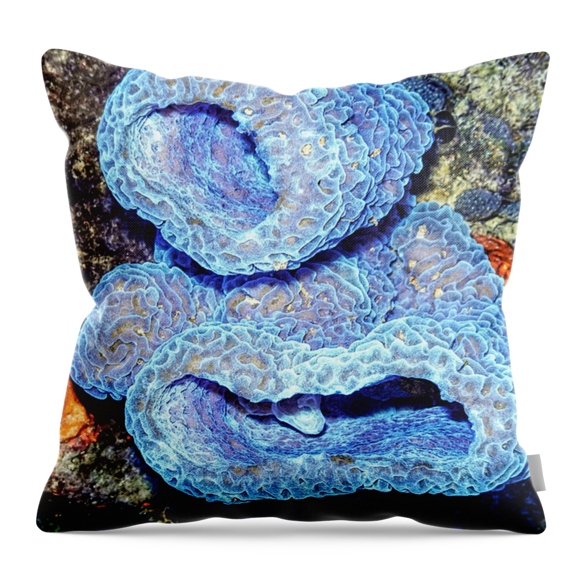 Azure Vase Sponge Throw Pillow featuring the photograph Azure Vase Sponge Impossible Blue by Perla Copernik