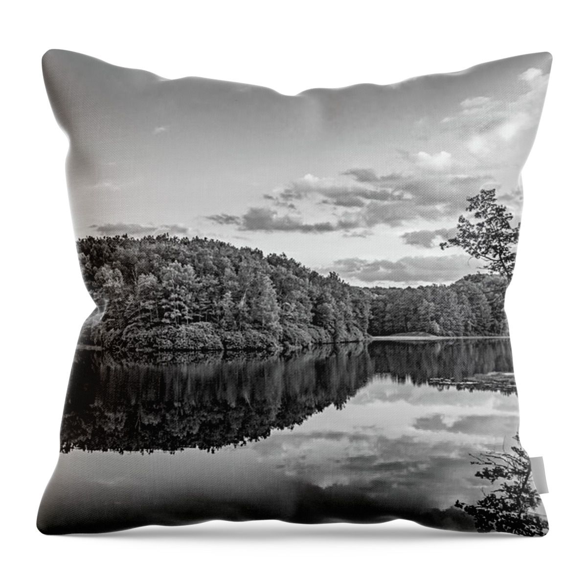 West Virginia Throw Pillow featuring the photograph Babcock State Park Evening 2 bw by Steve Harrington