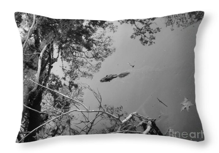 Reptile Throw Pillow featuring the photograph Baby Alligator Surfacing BW by Joseph Baril
