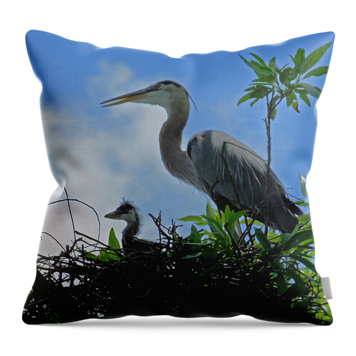 Great Blue Heron Throw Pillow featuring the photograph Baby and Mom Great Blue Heron by Judy Wanamaker