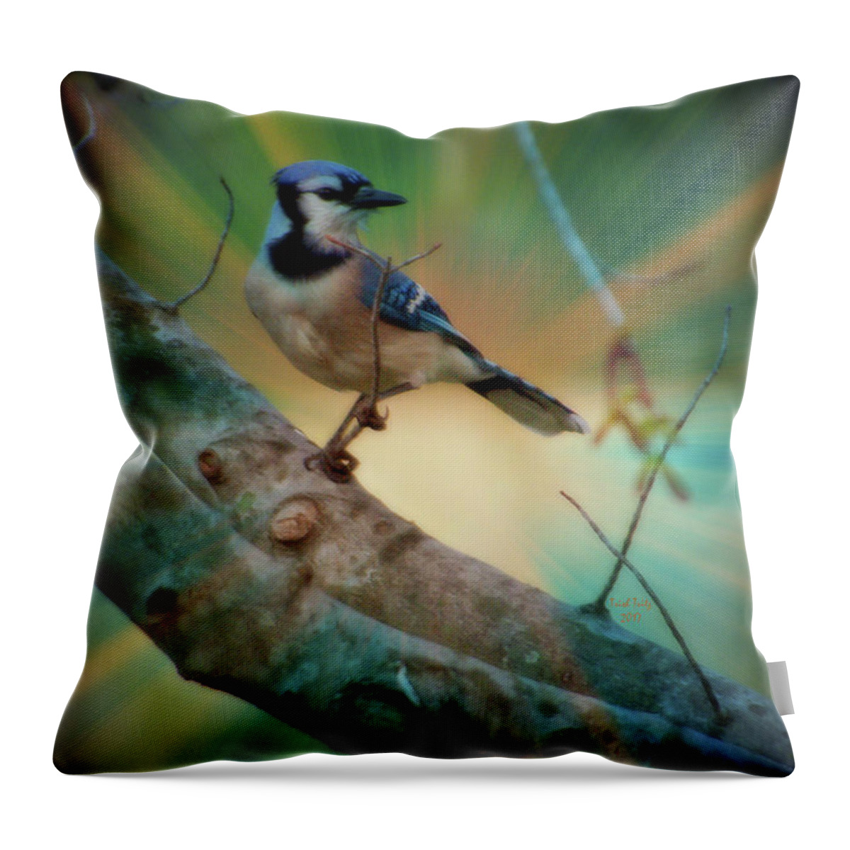 Bird Throw Pillow featuring the mixed media Baby Blue by Trish Tritz