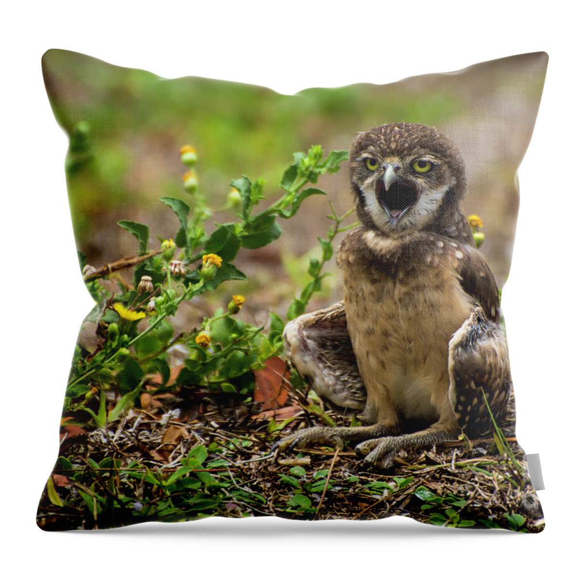  Throw Pillow featuring the photograph Baby burrowing owl by Quinn Sedam