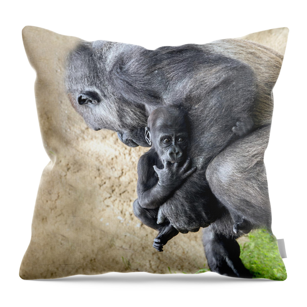 Gorilla Throw Pillow featuring the photograph Baby Gorilla Held By Mama by William Bitman