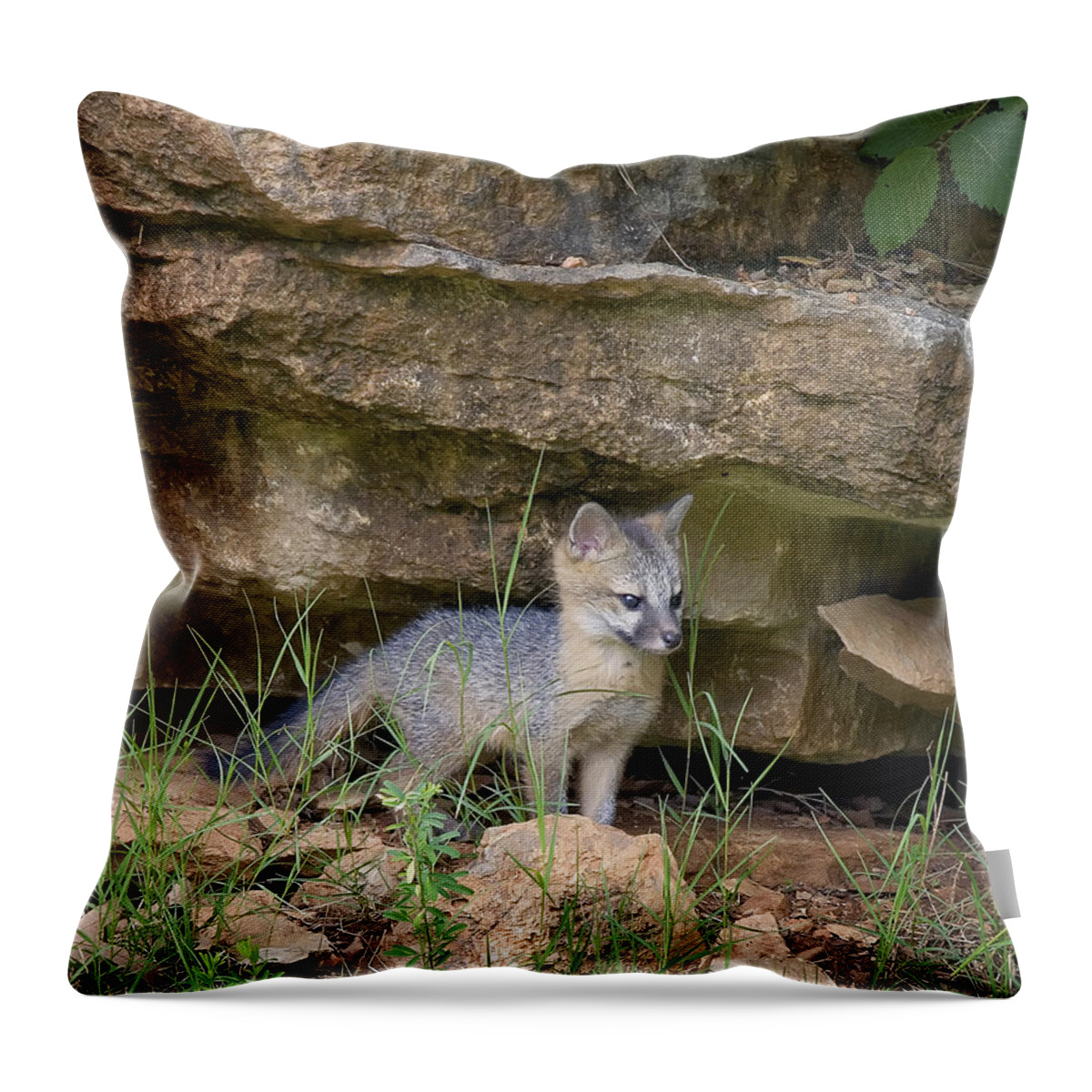 Gray Fox Throw Pillow featuring the photograph Baby Gray Fox by Michael Dougherty