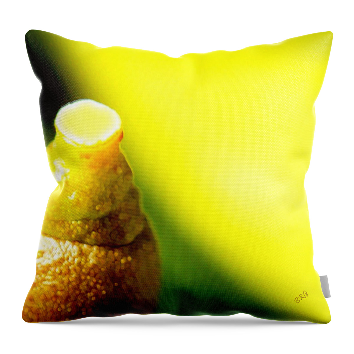 Fruit Throw Pillow featuring the photograph Baby Lemon On Tree by Ben and Raisa Gertsberg