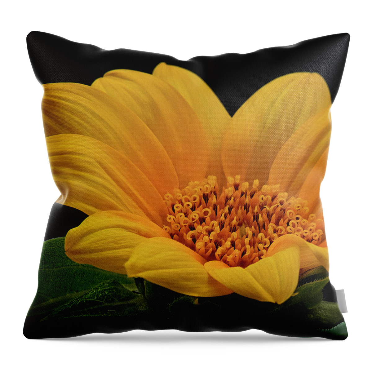 Sunflower Print Throw Pillow featuring the photograph Baby Sunflower by Gwen Gibson