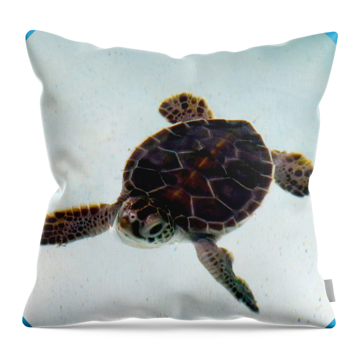 Baby Turtle Throw Pillow featuring the photograph Baby Turtle by Francesca Mackenney