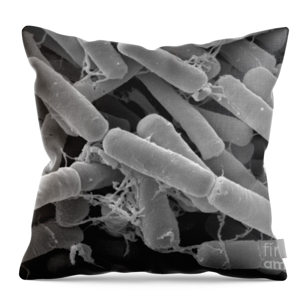 Bacillus Thuringiensis Throw Pillow featuring the photograph Bacillus Thuringiensis Bacteria by Scimat