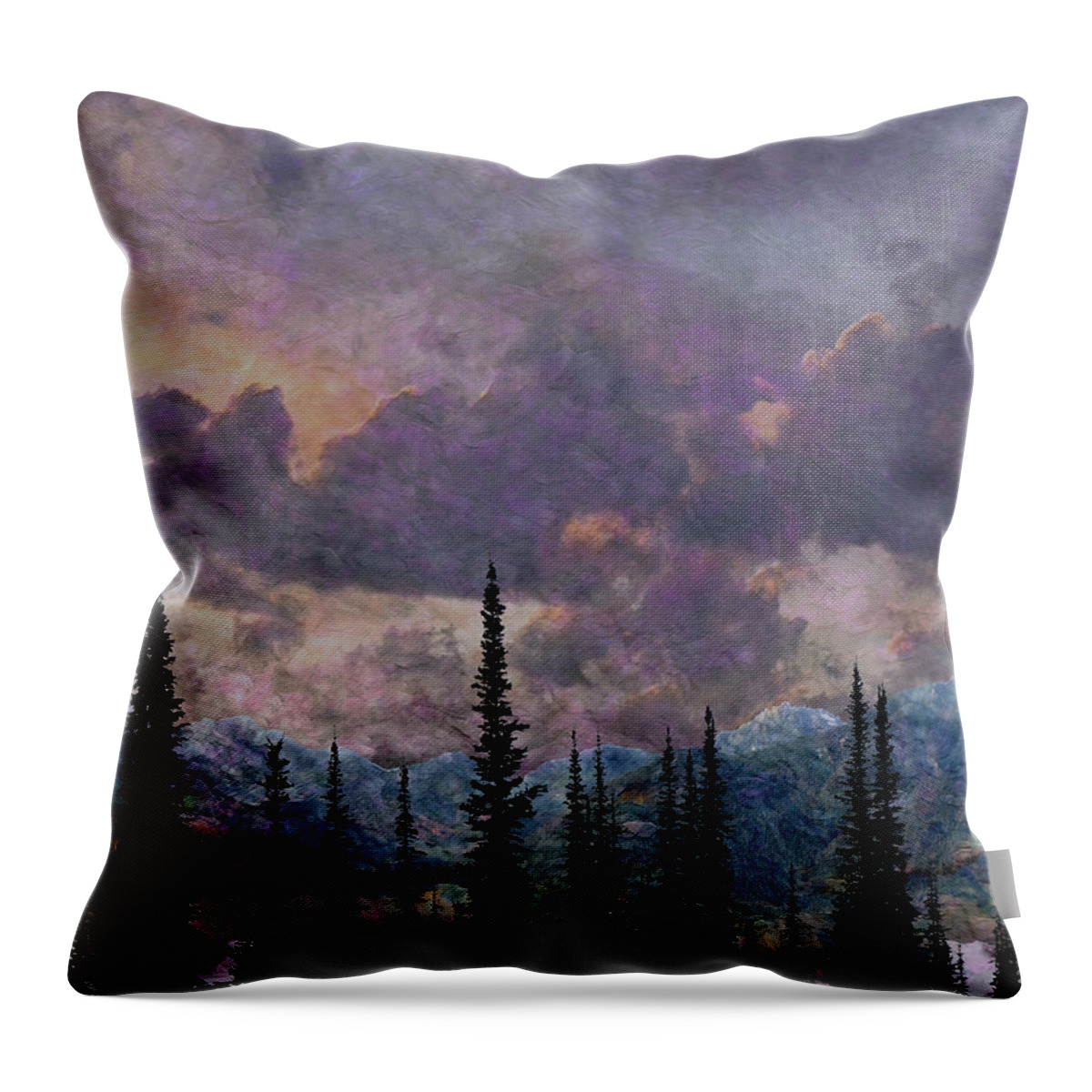 Landscape Throw Pillow featuring the photograph Back Country by Ed Hall
