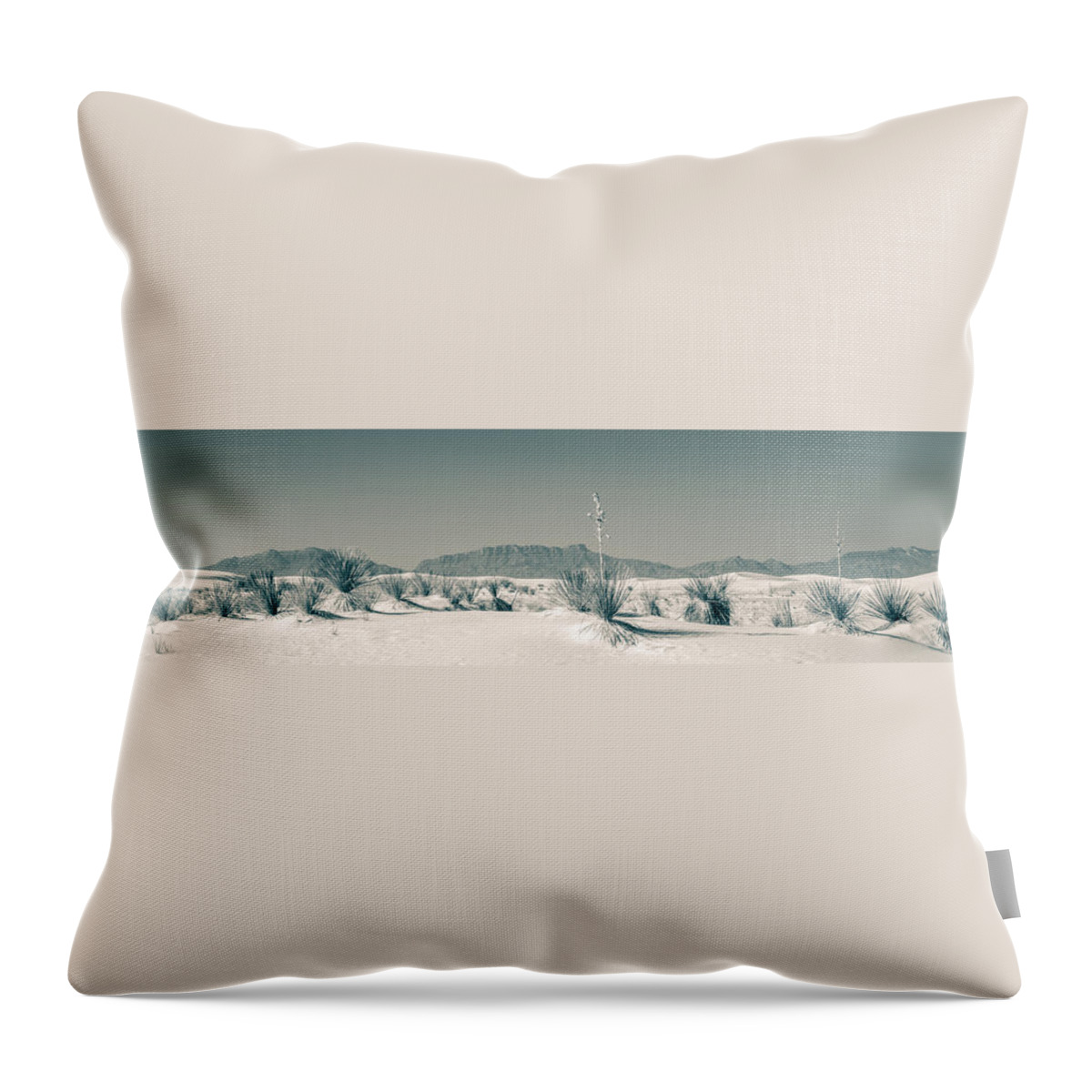 Desert Throw Pillow featuring the photograph Back Country by Racheal Christian