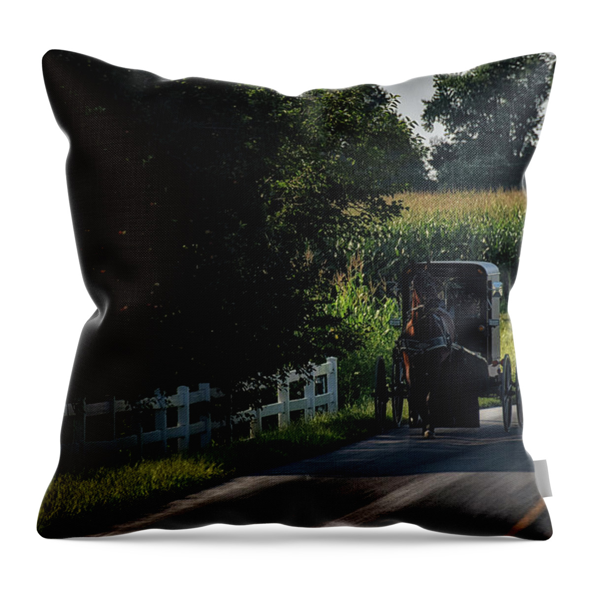 Amish Throw Pillow featuring the photograph Back Roads in Lancaster by Tricia Marchlik