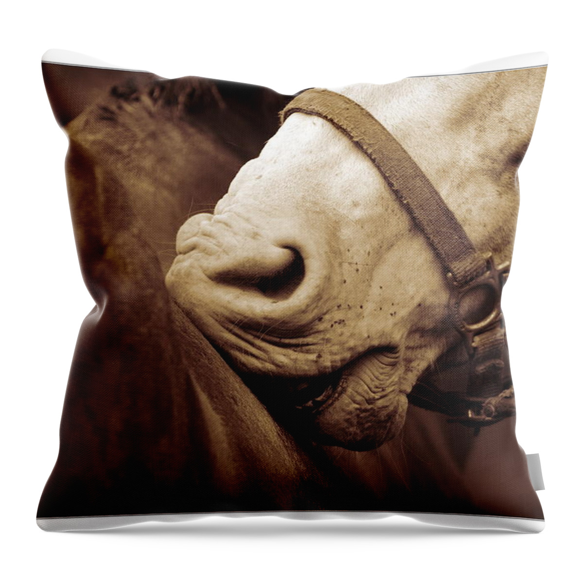 Horse Throw Pillow featuring the photograph Back Scratcher by Angela Rath