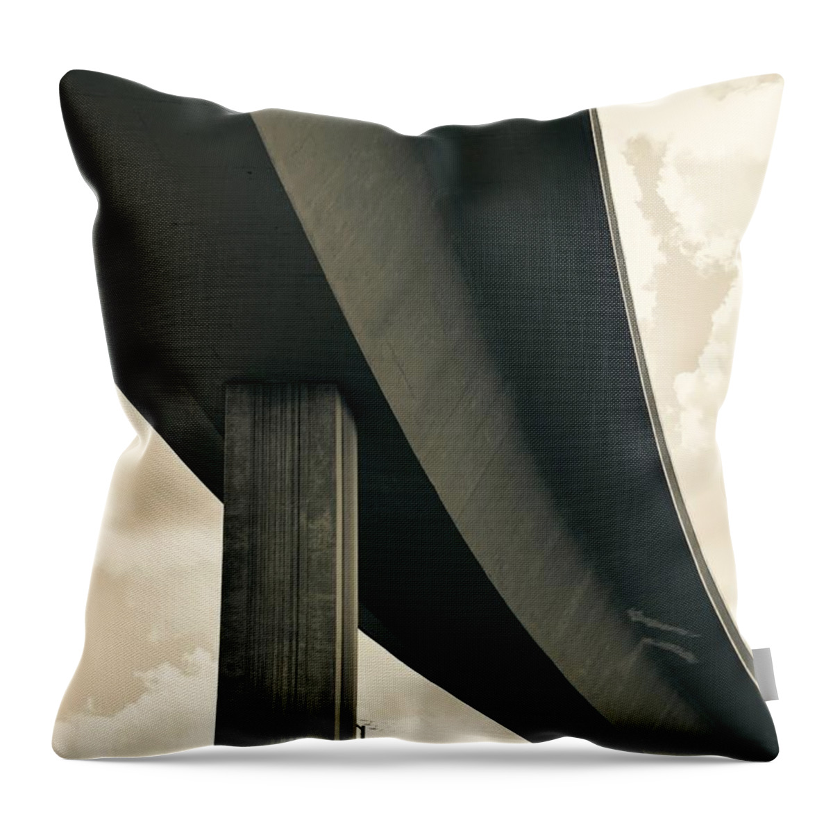 Black And White Throw Pillow featuring the photograph Back to the Future by Lisa Kleiner
